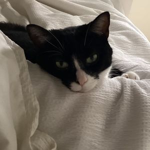 Meet your Posher, Gabbi! 💕